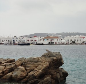 The beauty of a cloudy day.